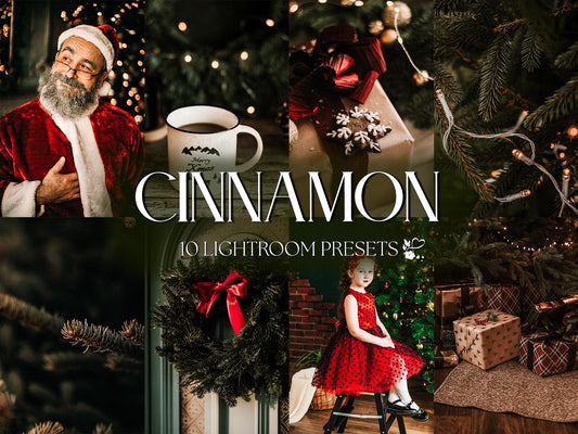 10 Cinnamon LIGHTROOM Presets Mobile & Desktop