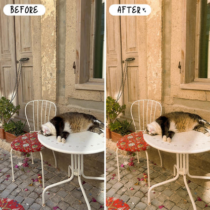 10 Analog LIGHTROOM Presets Mobile & Desktop