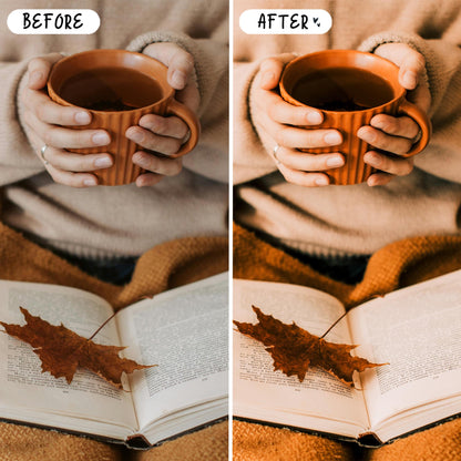 10 Hygge LIGHTROOM Presets Mobile & Desktop