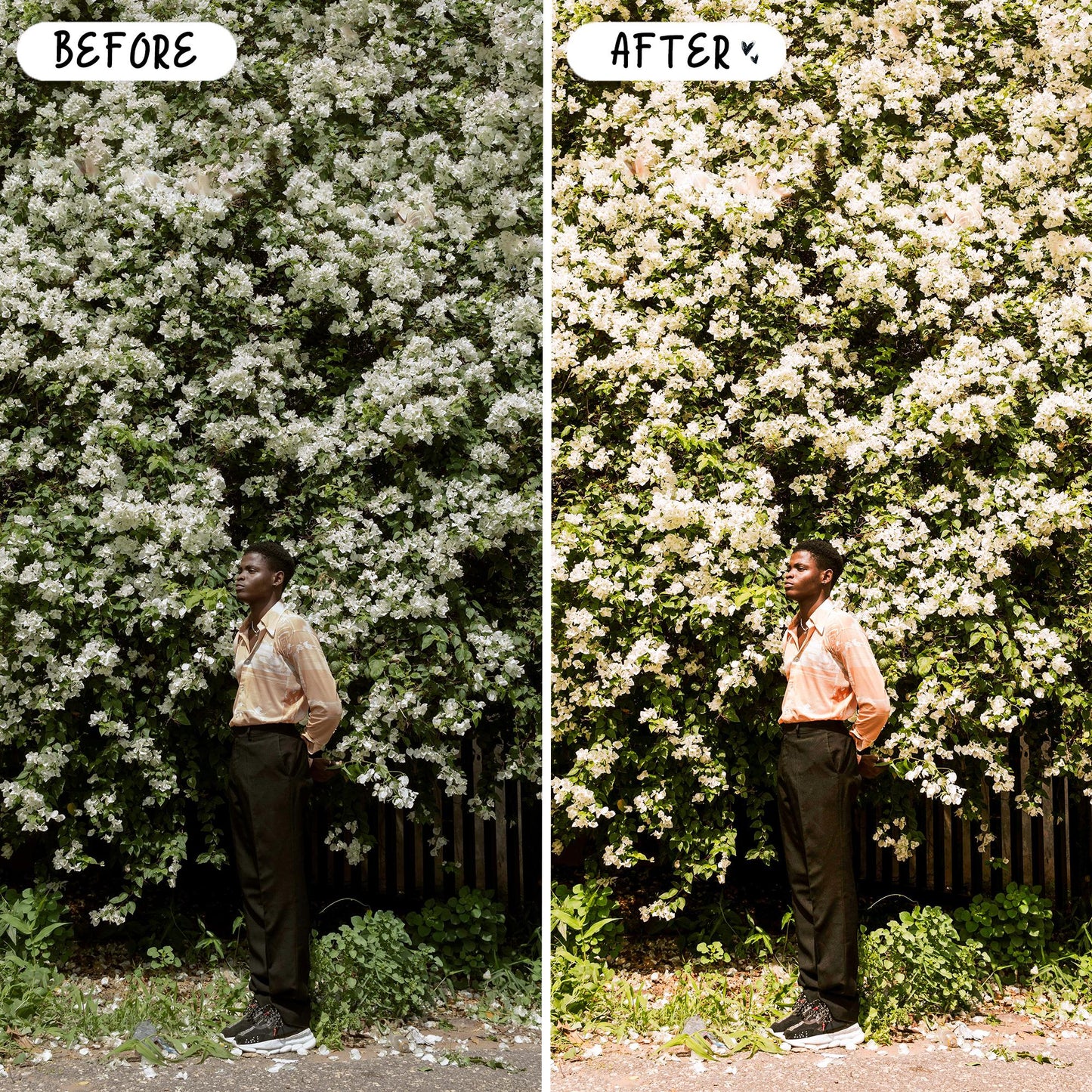 10 Meadow LIGHTROOM Presets Mobile & Desktop