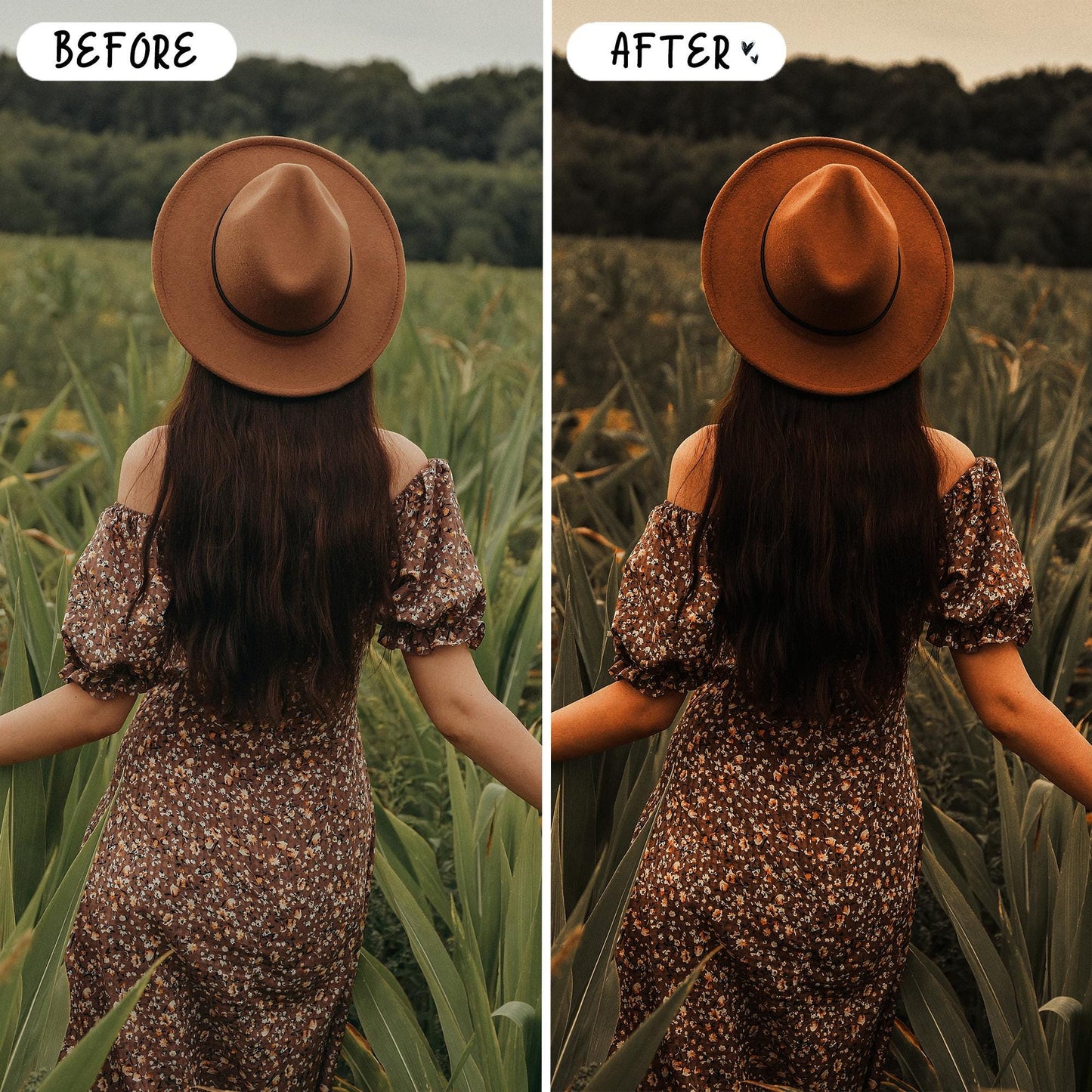 10 October LIGHTROOM Presets Mobile & Desktop