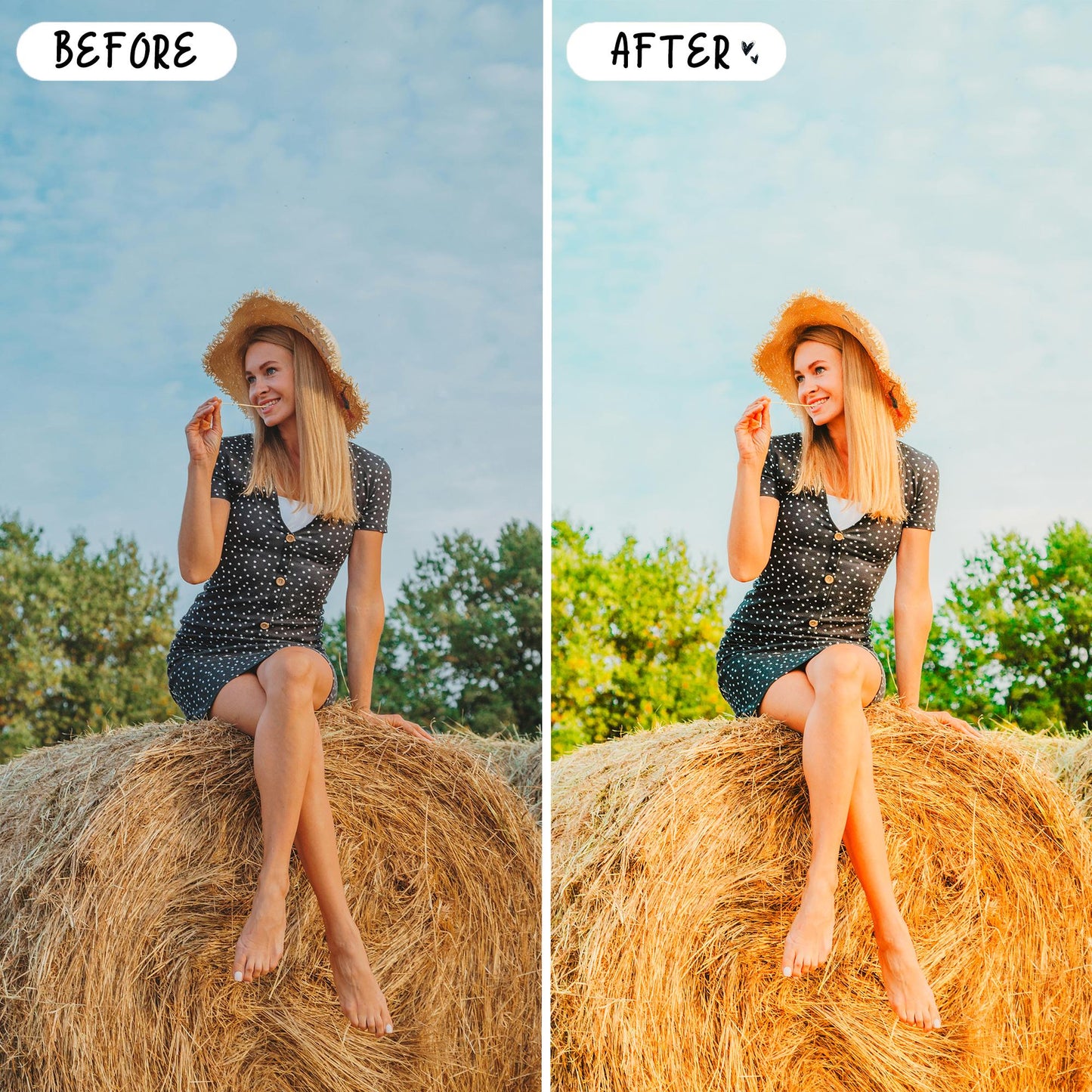 10 Influencer LIGHTROOM Presets Mobile & Desktop