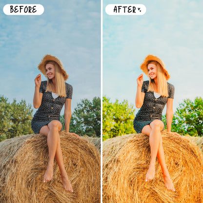 10 Influencer LIGHTROOM Presets Mobile & Desktop