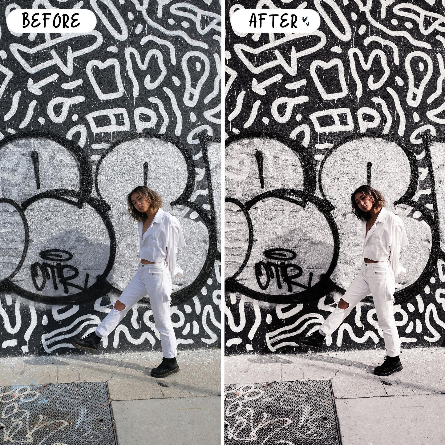 10 Silver LIGHTROOM Presets Mobile & Desktop