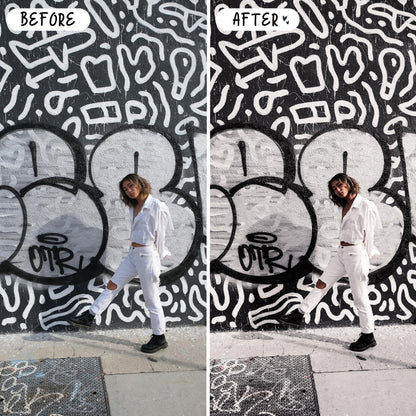10 Silver LIGHTROOM Presets Mobile & Desktop