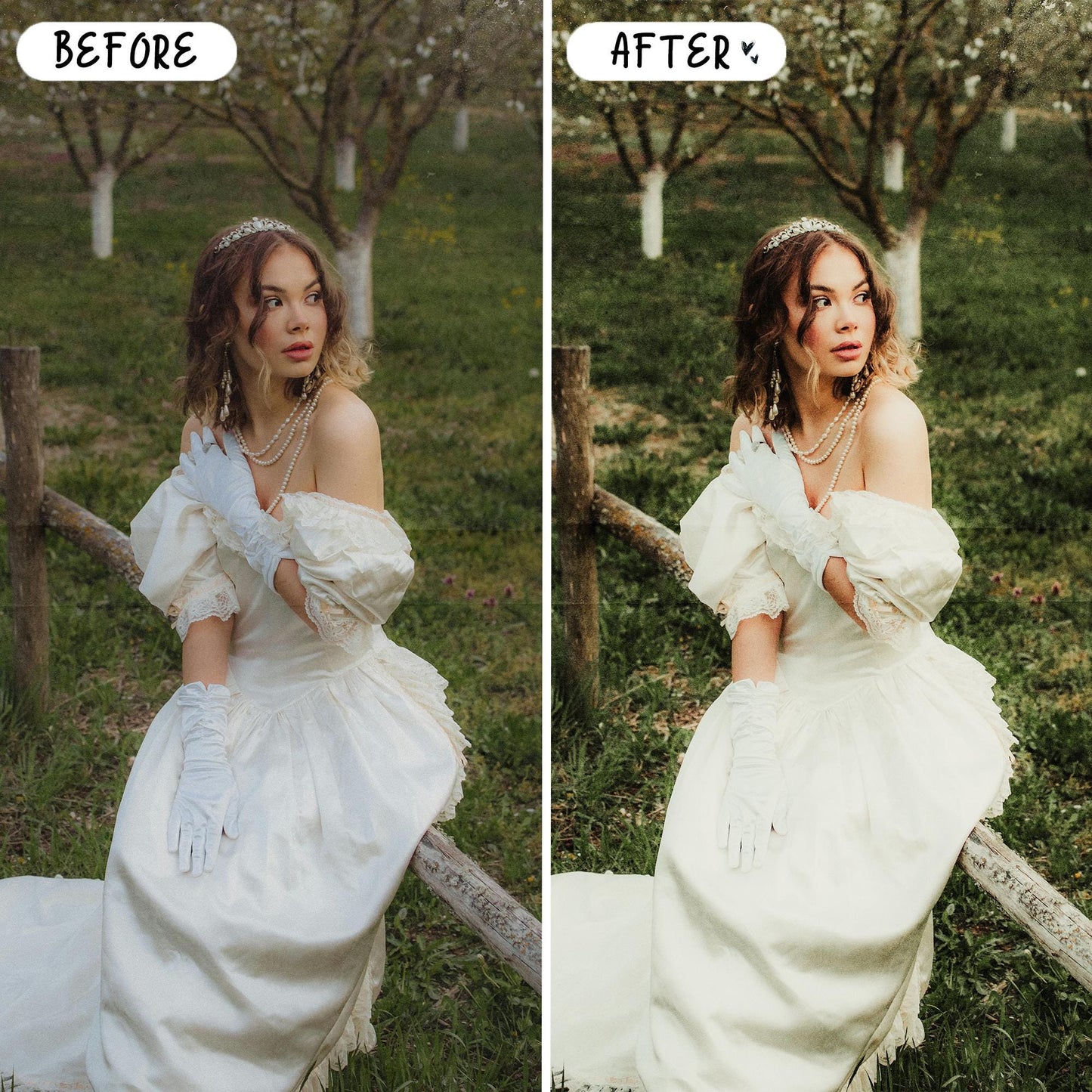 10 Aloe LIGHTROOM Presets Mobile & Desktop