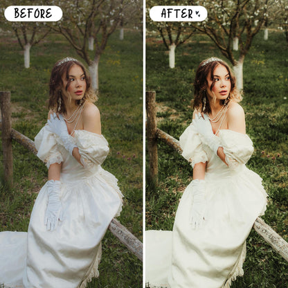 10 Aloe LIGHTROOM Presets Mobile & Desktop