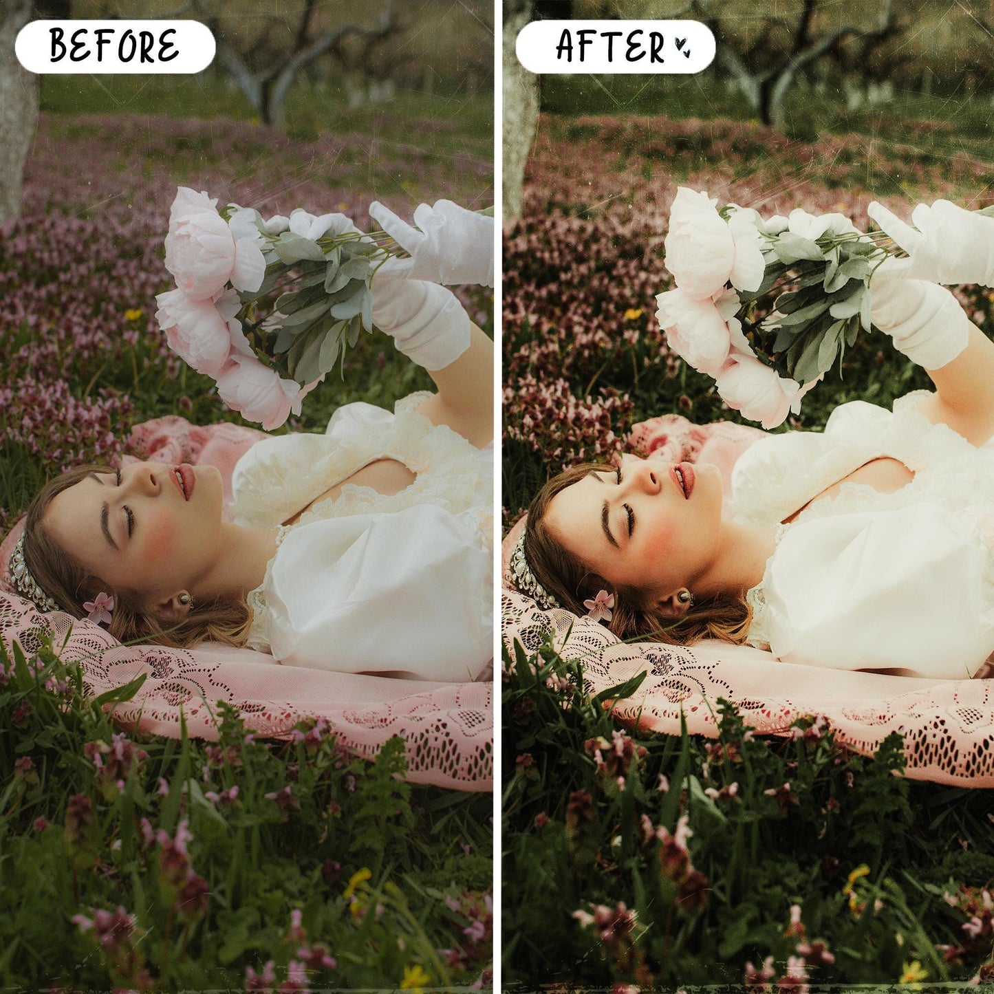 10 Aloe LIGHTROOM Presets Mobile & Desktop