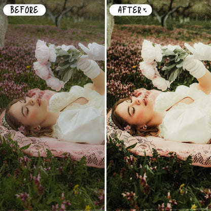 10 Aloe LIGHTROOM Presets Mobile & Desktop