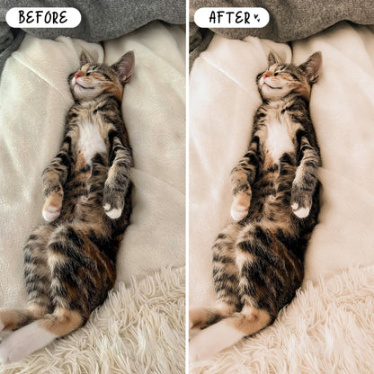 10 Pet LIGHTROOM Presets Mobile & Desktop