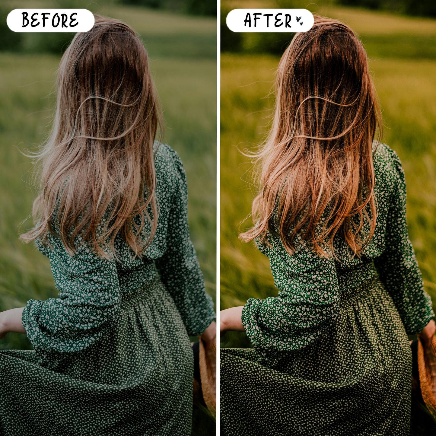 10 Meadow LIGHTROOM Presets Mobile & Desktop