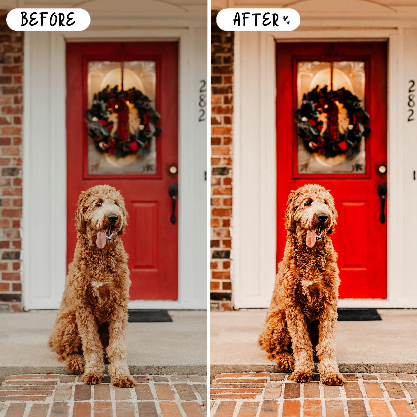 10 Christmas LIGHTROOM Presets Mobile & Desktop
