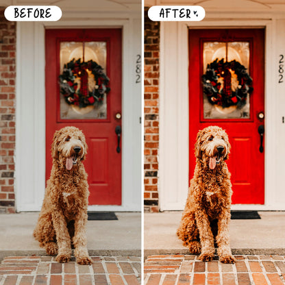10 Christmas LIGHTROOM Presets Mobile & Desktop