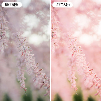 10 Blush LIGHTROOM Presets Mobile & Desktop