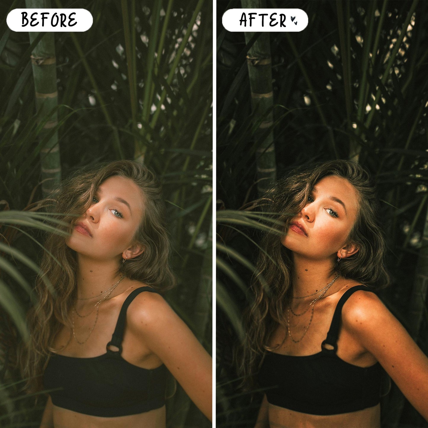 10 Aloe LIGHTROOM Presets Mobile & Desktop