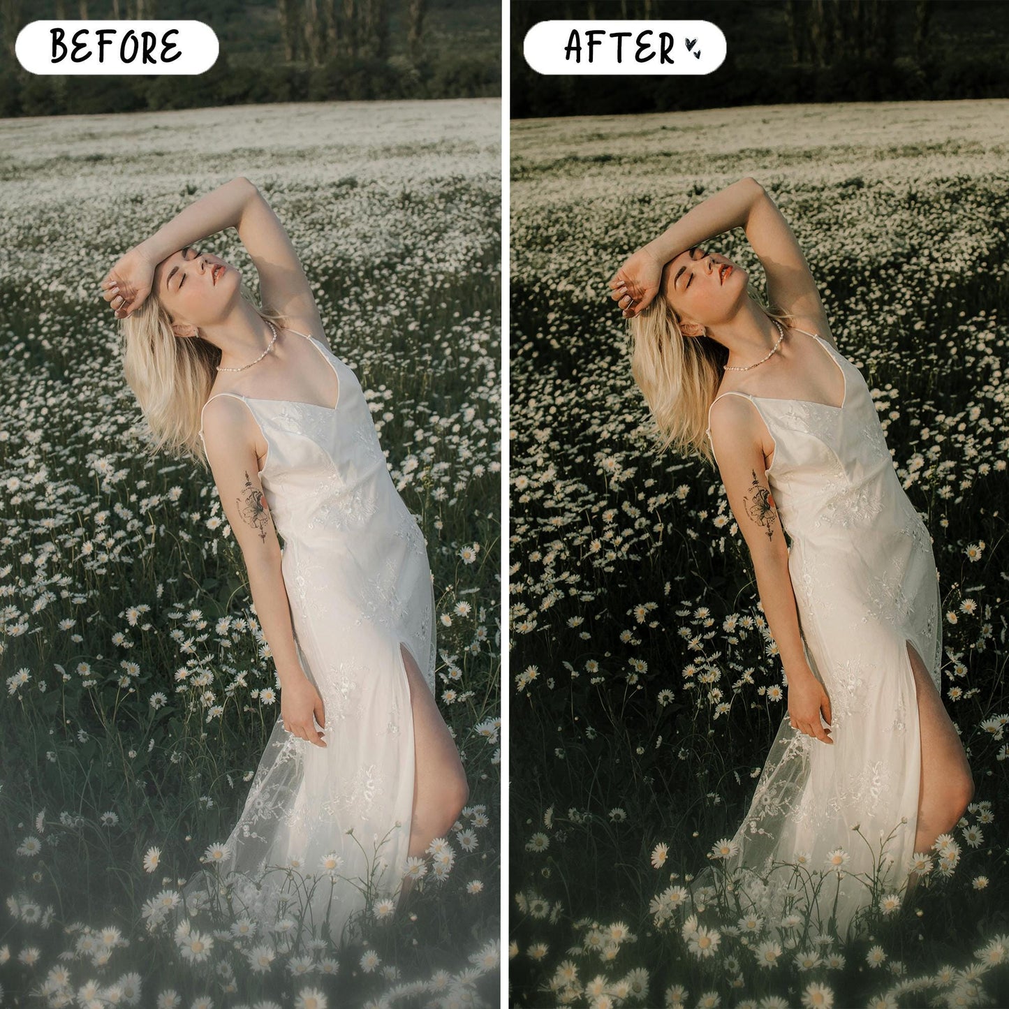 10 Aloe LIGHTROOM Presets Mobile & Desktop