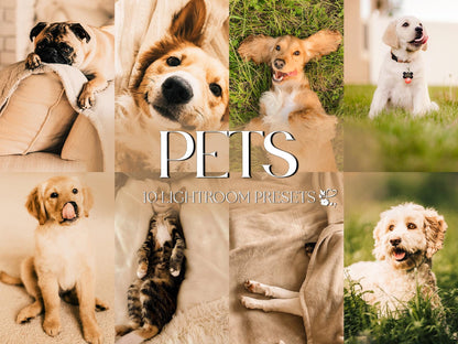 10 Pet LIGHTROOM Presets Mobile & Desktop