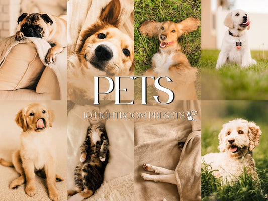 10 Pet LIGHTROOM Presets Mobile & Desktop