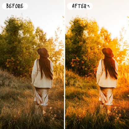 10 Golden LIGHTROOM Presets Mobile & Desktop