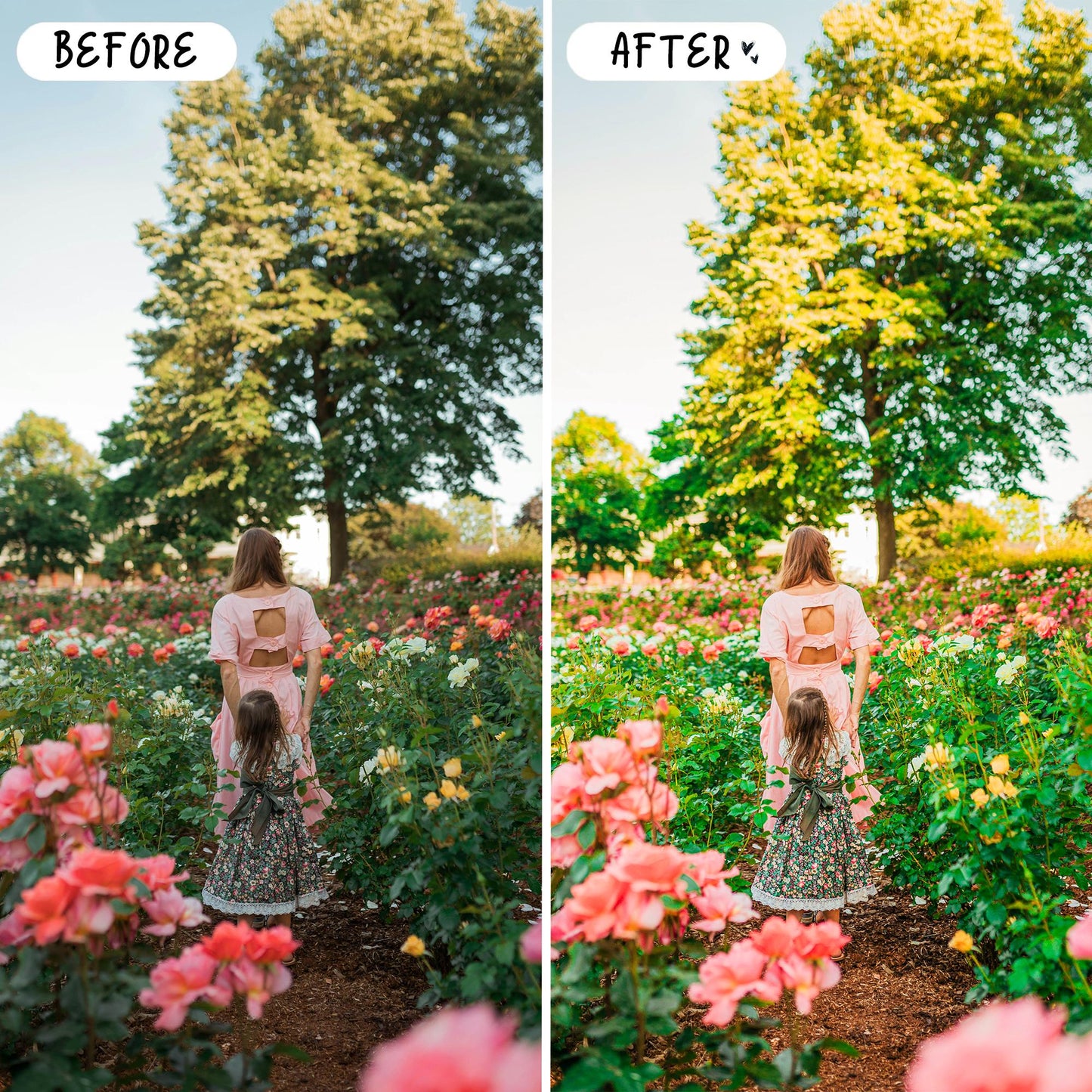 10 Spring LIGHTROOM Presets Mobile & Desktop