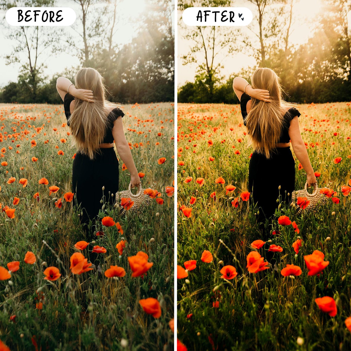 10 Spring LIGHTROOM Presets Mobile & Desktop