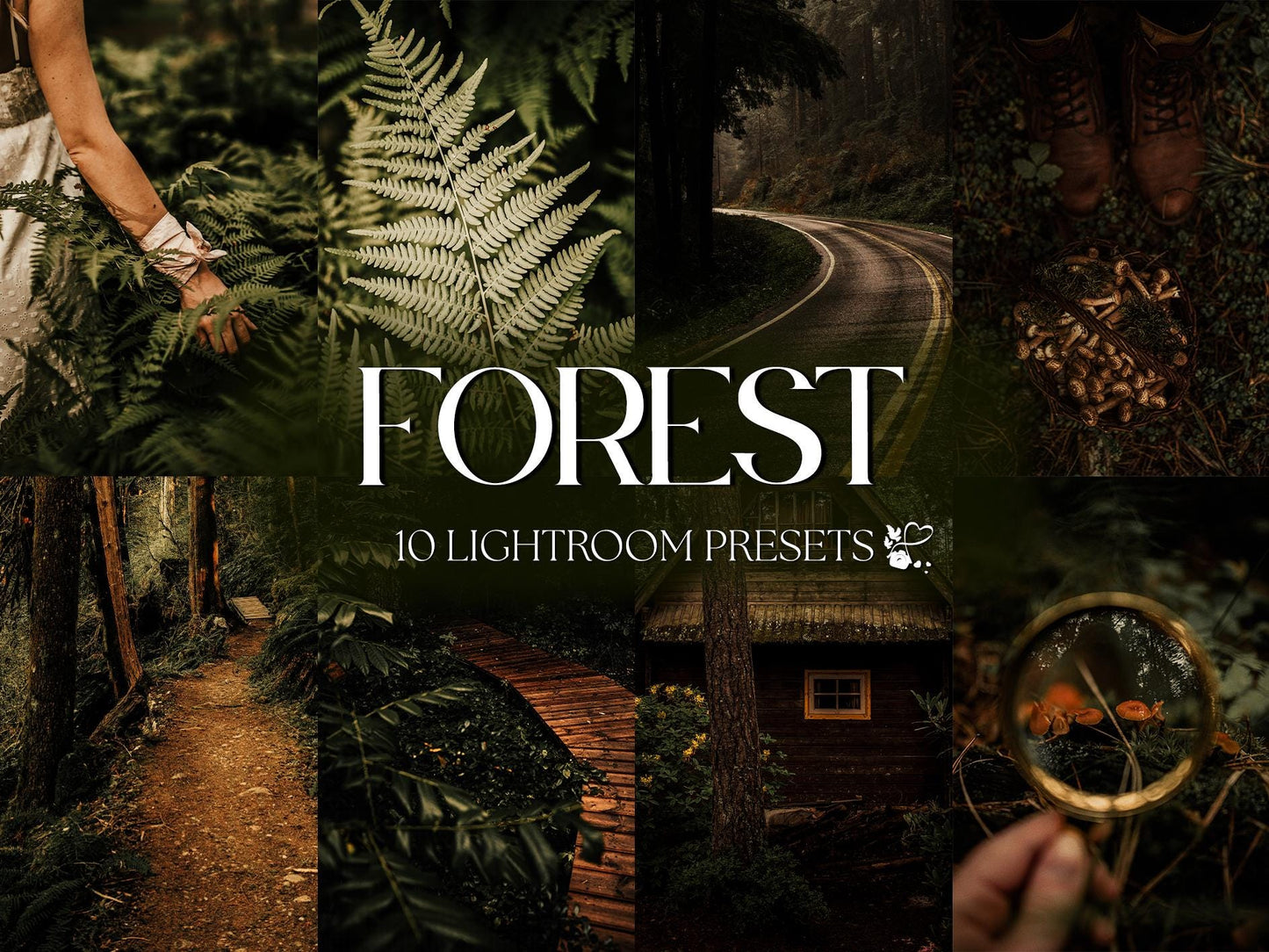10 Forest LIGHTROOM Presets Mobile & Desktop
