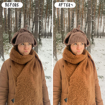 10 Winter LIGHTROOM Presets Mobile & Desktop