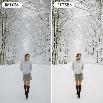 10 Winter LIGHTROOM Presets Mobile & Desktop
