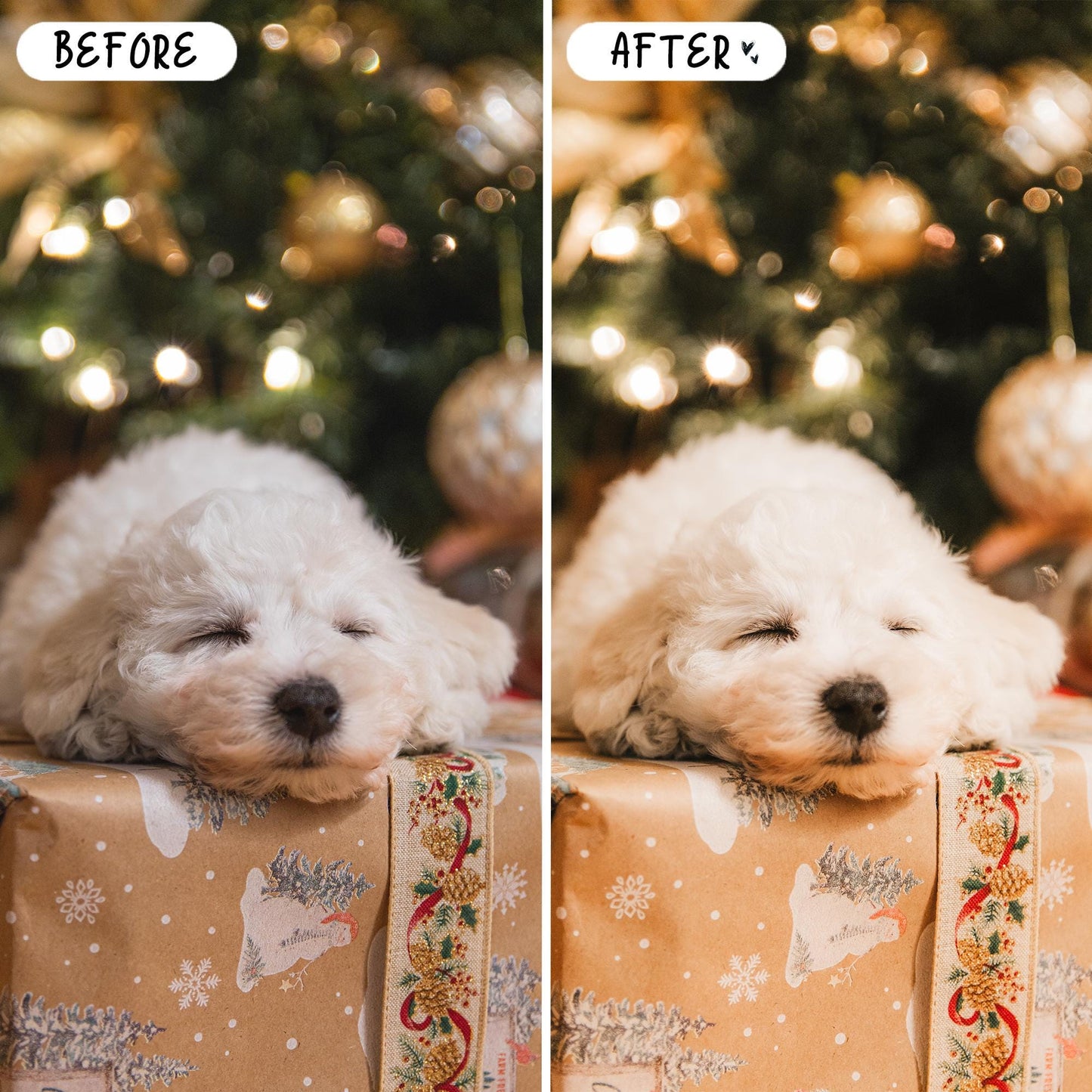 10 Cozy Christmas LIGHTROOM Presets Mobile & Desktop