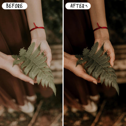 10 Rich Moody LIGHTROOM Presets Mobile & Desktop