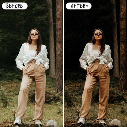 10 Rich Moody LIGHTROOM Presets Mobile & Desktop