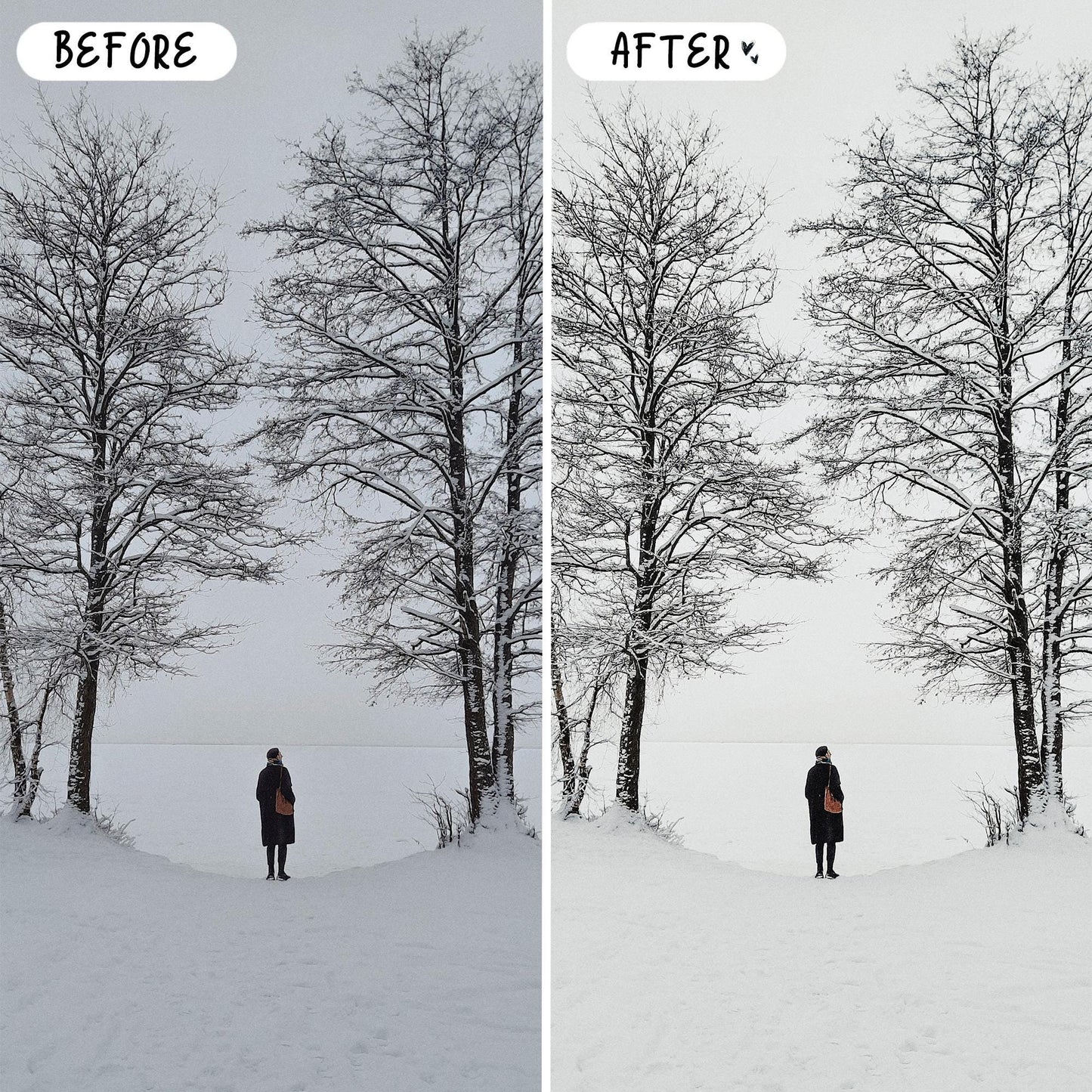 10 Winter LIGHTROOM Presets Mobile & Desktop