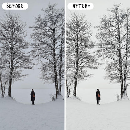 10 Winter LIGHTROOM Presets Mobile & Desktop