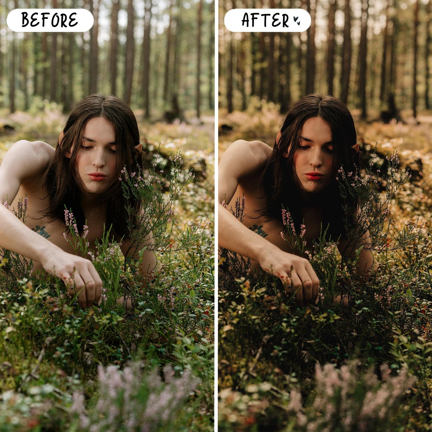 10 Magical LIGHTROOM Presets Mobile & Desktop