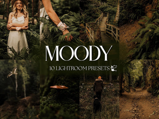 10 Moody LIGHTROOM Presets Mobile & Desktop