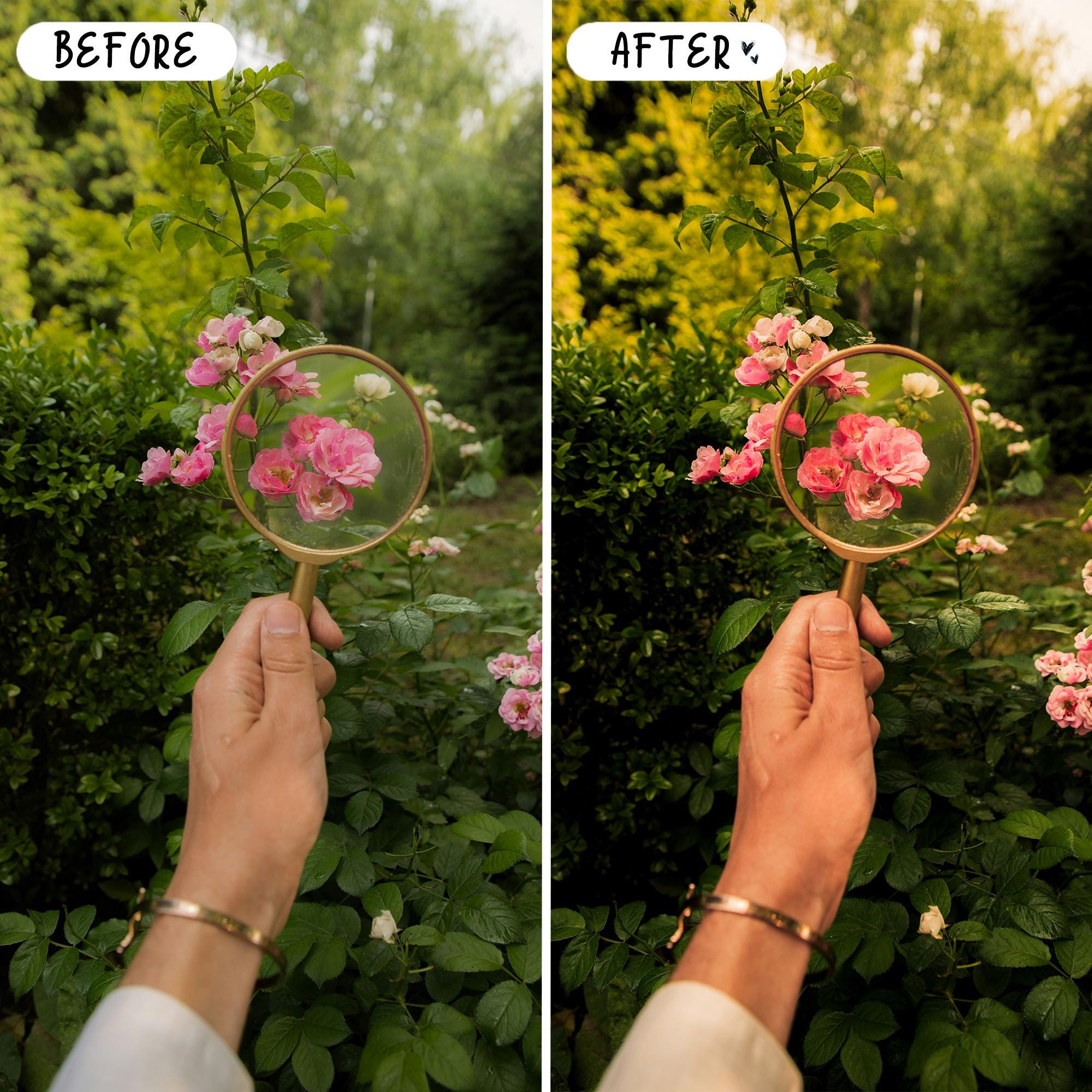 10 Garden LIGHTROOM Presets Mobile & Desktop