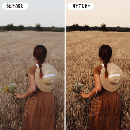 10 Rustic LIGHTROOM Presets Mobile & Desktop