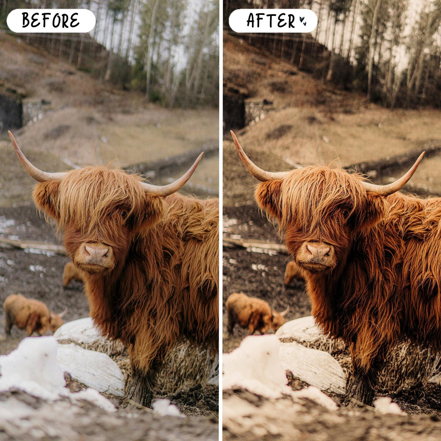 10 Rustic LIGHTROOM Presets Mobile & Desktop