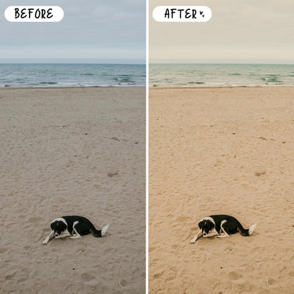 10 Seaside LIGHTROOM Presets Mobile & Desktop