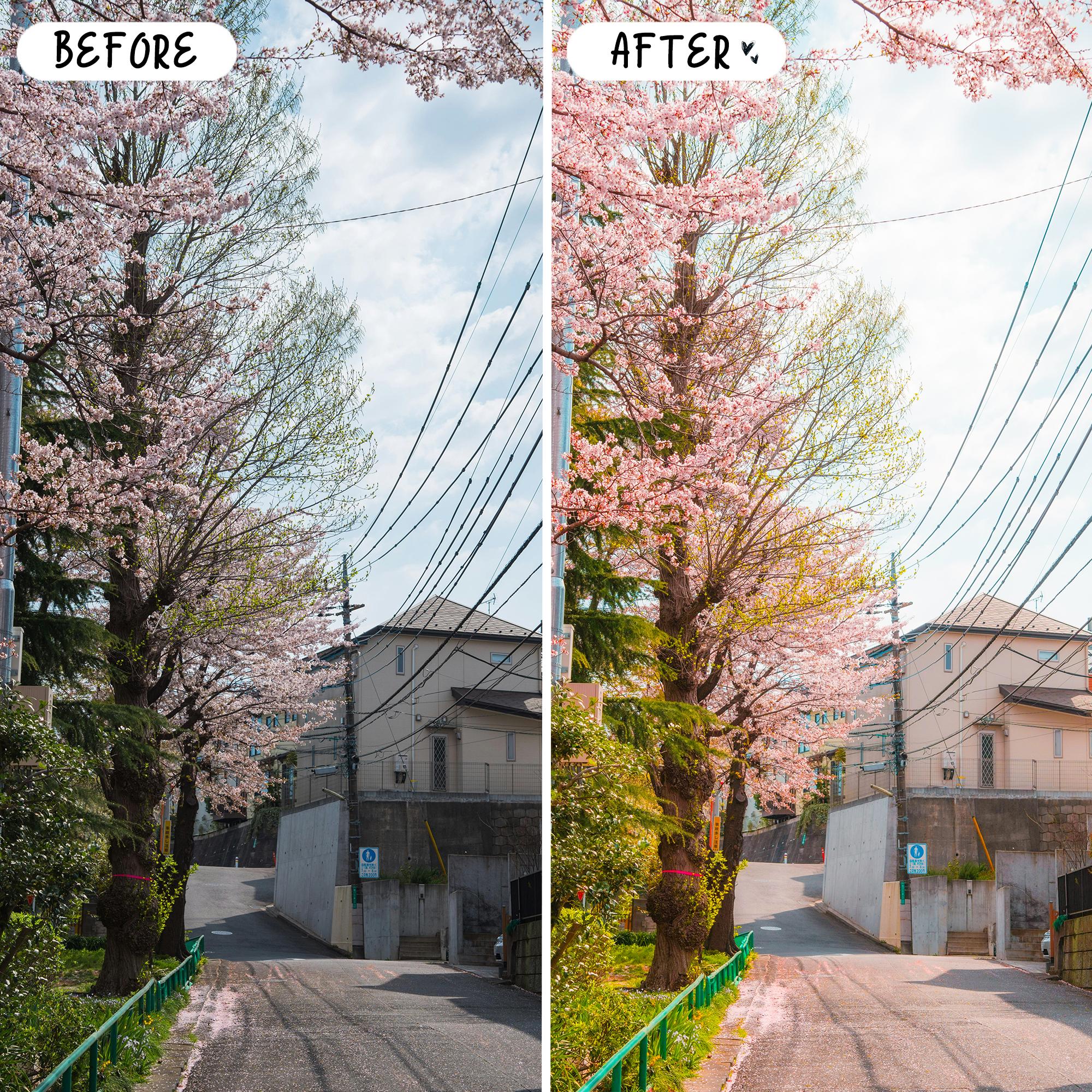 10 Anime LIGHTROOM Presets Mobile & Desktop