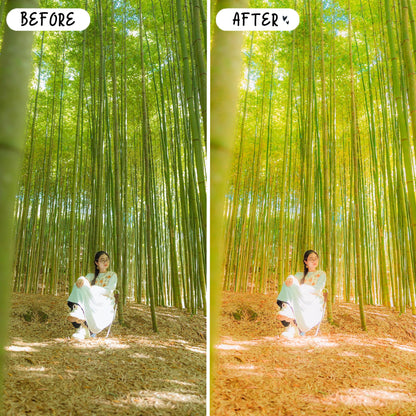 10 Anime LIGHTROOM Presets Mobile & Desktop