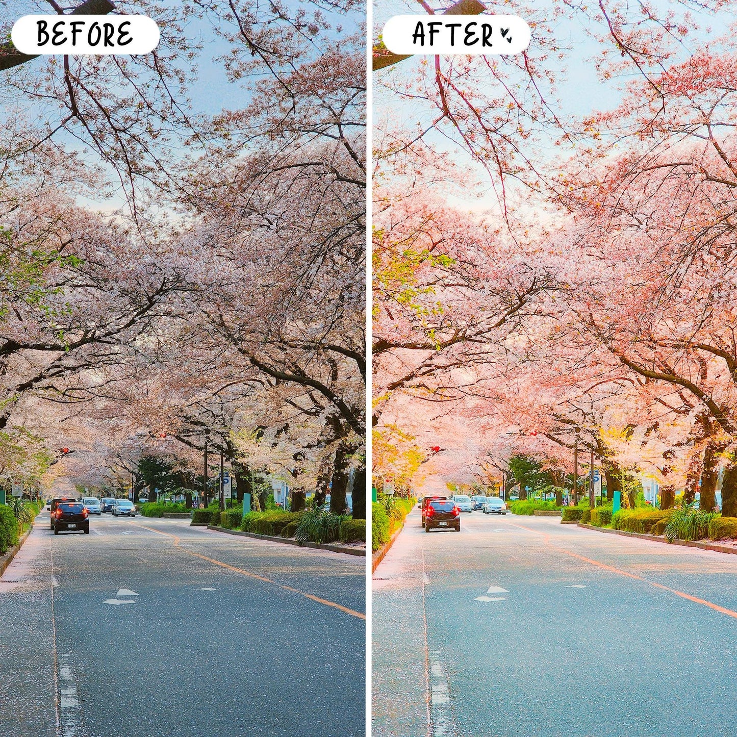 10 Anime LIGHTROOM Presets Mobile & Desktop