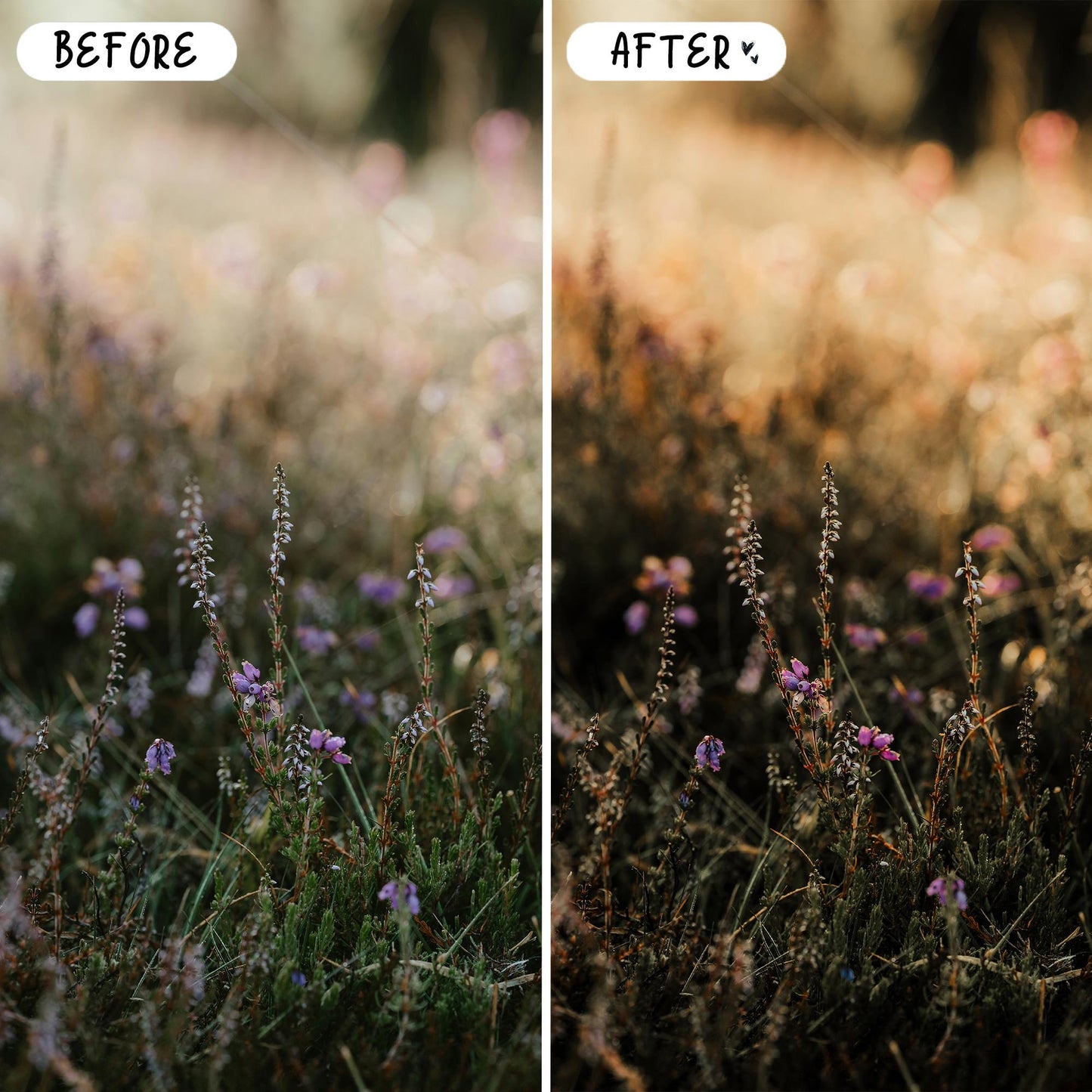 10 Rustic LIGHTROOM Presets Mobile & Desktop