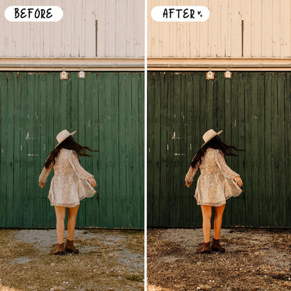 10 Rustic LIGHTROOM Presets Mobile & Desktop