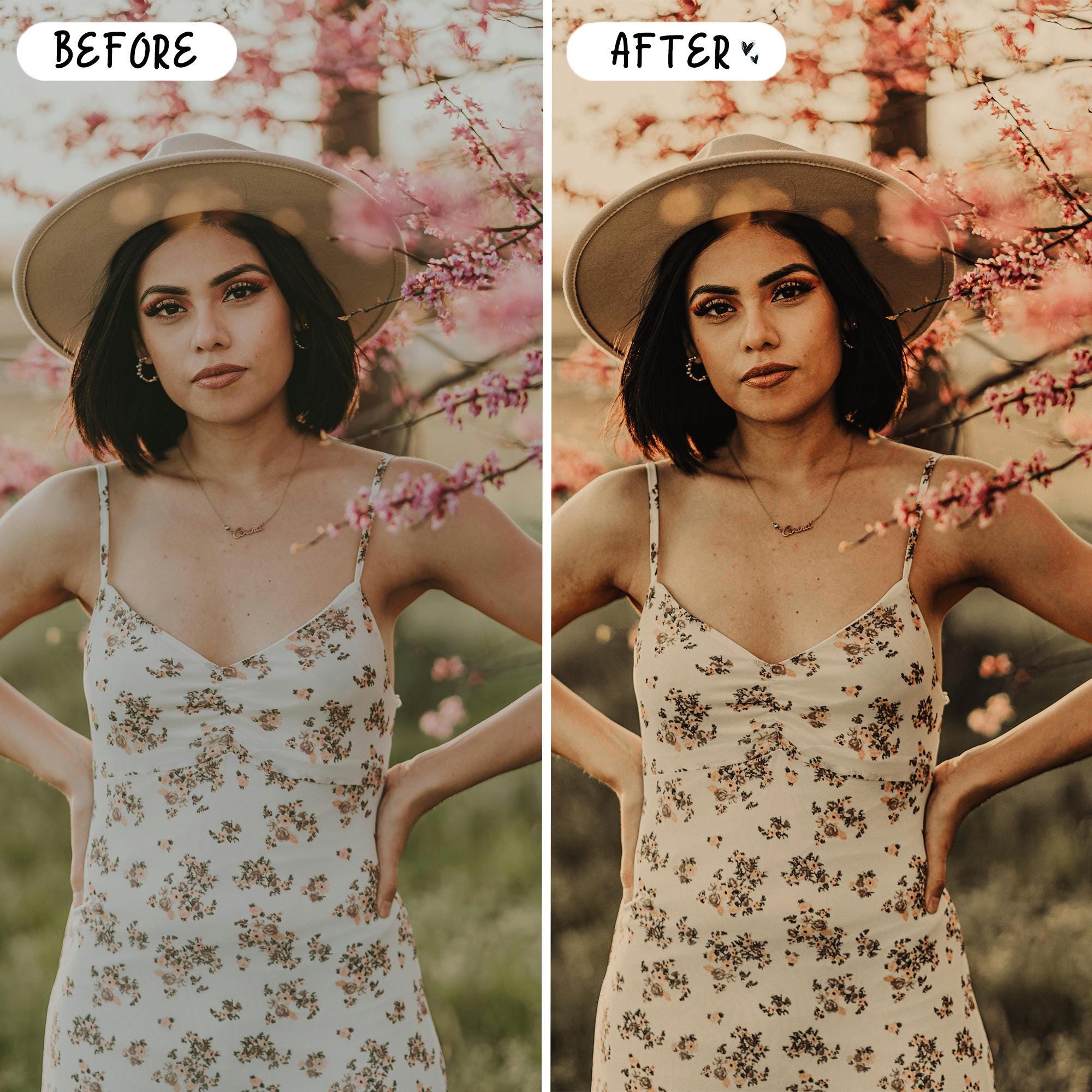 10 Rustic LIGHTROOM Presets Mobile & Desktop
