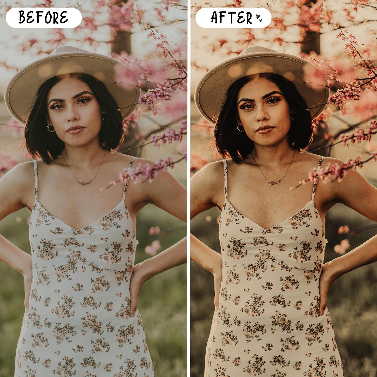 10 Rustic LIGHTROOM Presets Mobile & Desktop