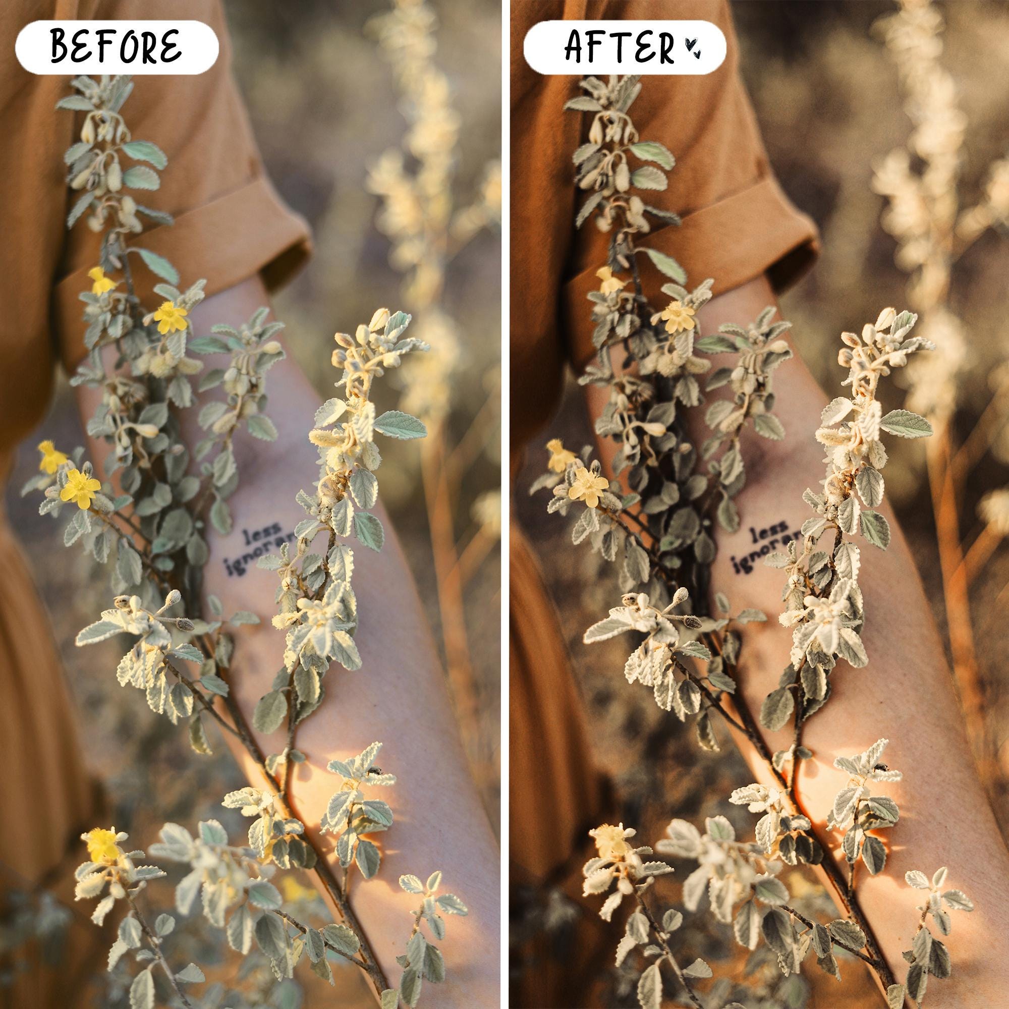 10 Rustic LIGHTROOM Presets Mobile & Desktop