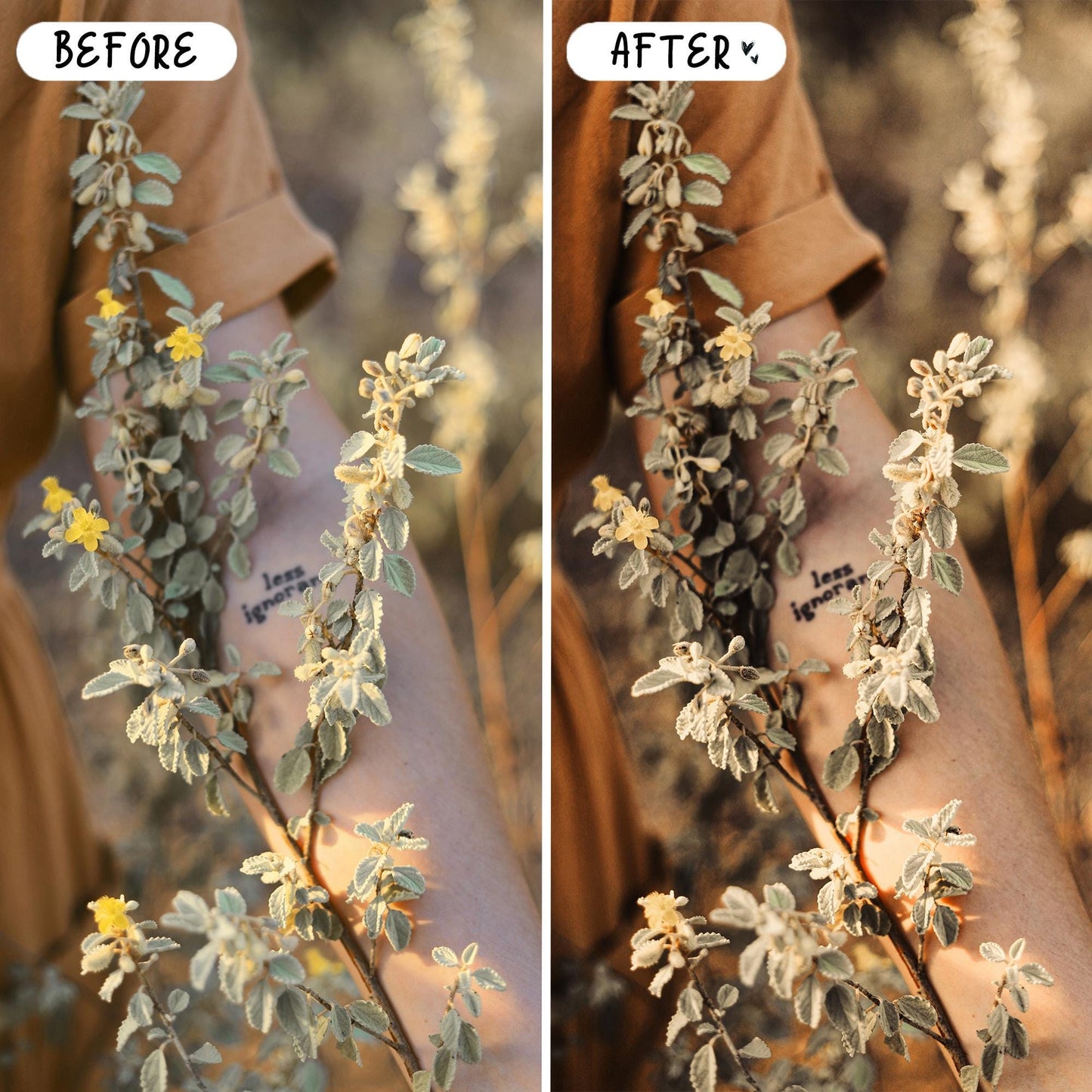 10 Rustic LIGHTROOM Presets Mobile & Desktop