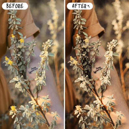 10 Rustic LIGHTROOM Presets Mobile & Desktop