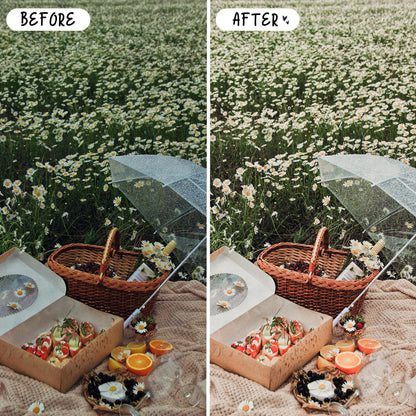 10 Bright LIGHTROOM Presets Mobile & Desktop